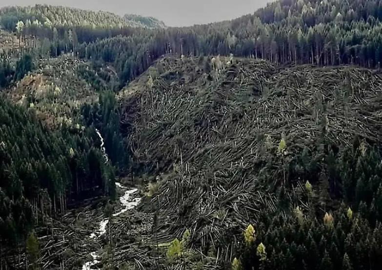 Pari opportunit&agrave;, lotta alla violenza di genere: l'impegno del Soroptimist