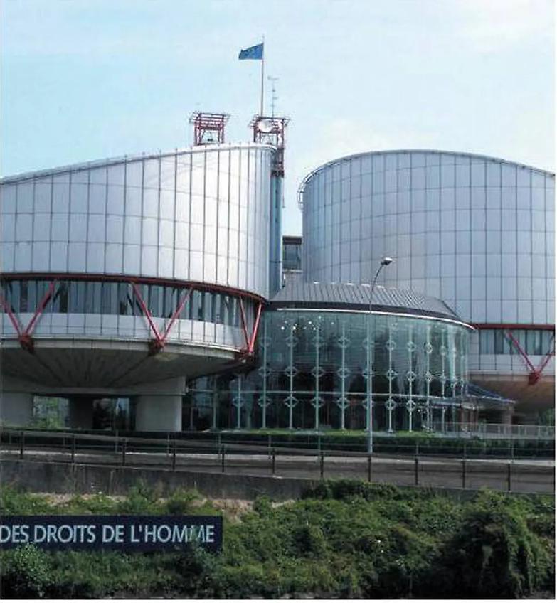 La Carta verde non lede i diritti dell&rsquo;uomo: la sentenza della Cedu