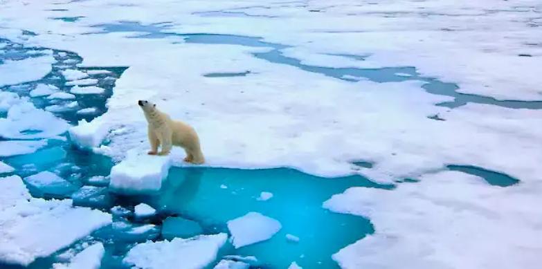 Caldo record ai poli della Terra, l'allarme degli scienziati: &laquo;Evento senza precedenti&raquo;