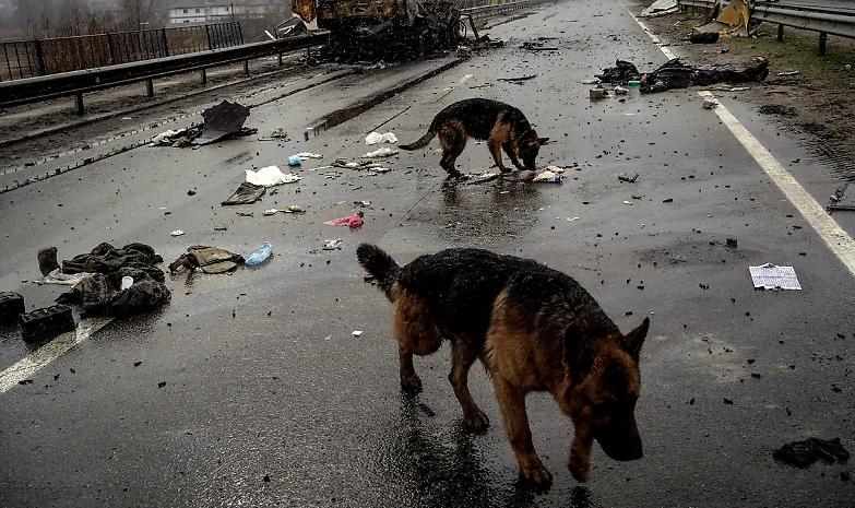 Quelli che Bucha &egrave; una fake... non hanno pi&ugrave; cuore