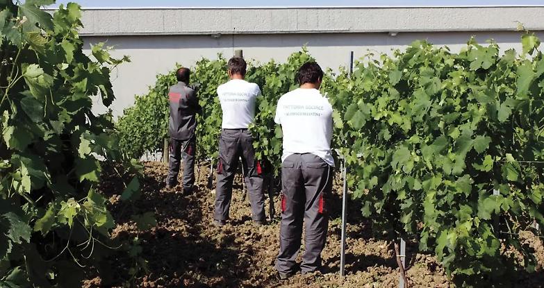 Tanti attori per favorire il lavoro esterno ma ancora pochi risultati