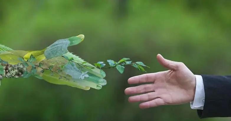 Sostenibilit&agrave;, il ruolo chiave degli avvocati nella transizione ecologica