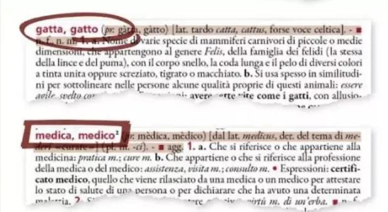 Avvocata, architetta, medica... Treccani sdogana i femminili professionali