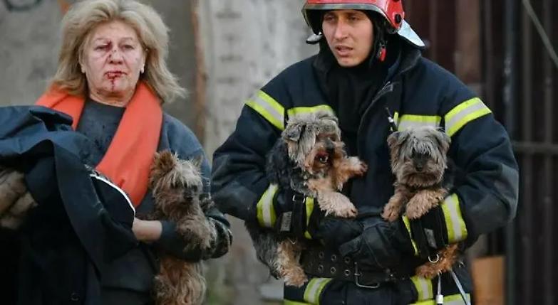Non c&rsquo;&egrave; vera pace senza verit&agrave;. Non c&rsquo;&egrave; verit&agrave; senza libert&agrave;