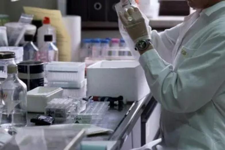 Covid, addio al bollettino quotidiano. Crisanti: "Io lo farei ogni mezza giornata"