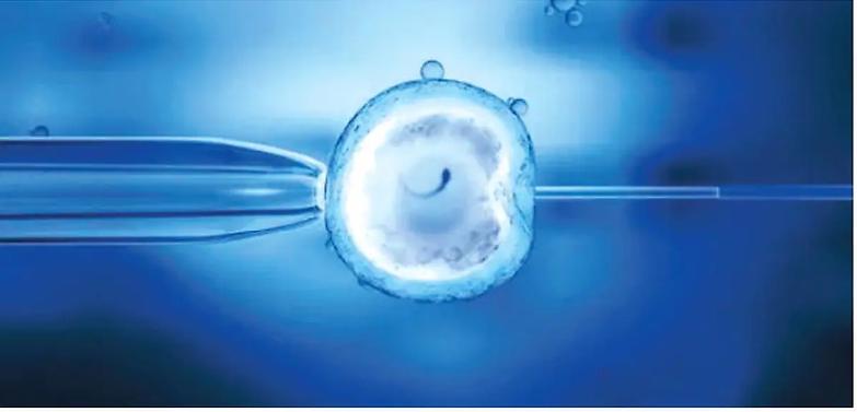 Procreazione assistita, le Sezioni Unite e la legge