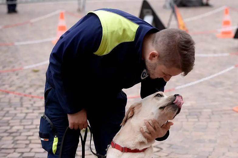 Palermo, coppia di non vedenti rifiutati da un B&B: non ammessi i loro cani