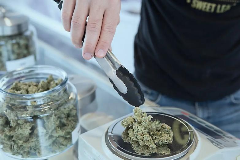 Germania, s&igrave; del governo alla legalizzazione della cannabis
