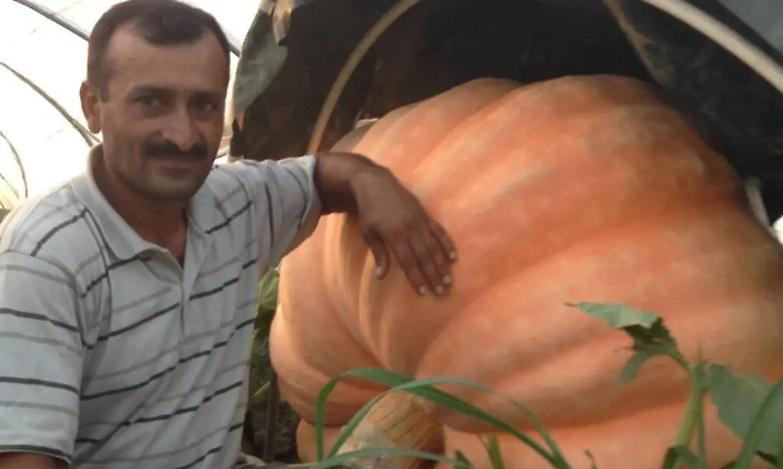 Omicidio di Saman Abbas, il governo autorizza l&rsquo;estradizione del padre Shabbar