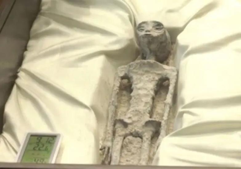 &ldquo;Questi resti non sono umani&rdquo;. Gli Ufo entrano al Congresso messicano