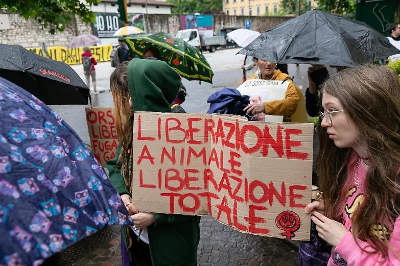 &laquo;La vivisezione non coinvolge solo l&rsquo;aspetto morale ma anche quello scientifico: esistono strade alternative&raquo;