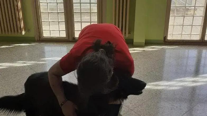 In carcere non riceve mai visite: la direzione fa entrare il suo cane per un giorno