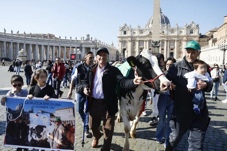 La protesta dei trattori all&rsquo;Angelus in piazza San Pietro