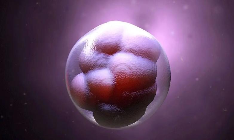 Usa, per la Corte Suprema dell'Alabama gli embrioni congelati sono esseri umani