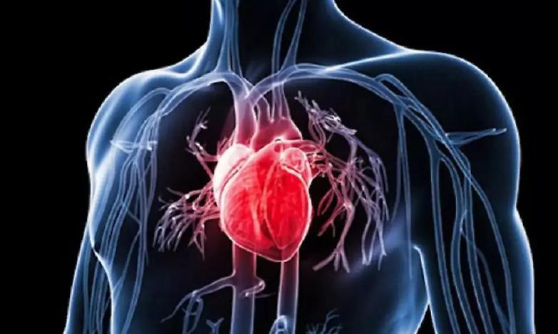 Oliviero Toscani rivela la sua battaglia contro l'amiloidosi: cos'&egrave; questa malattia rara?