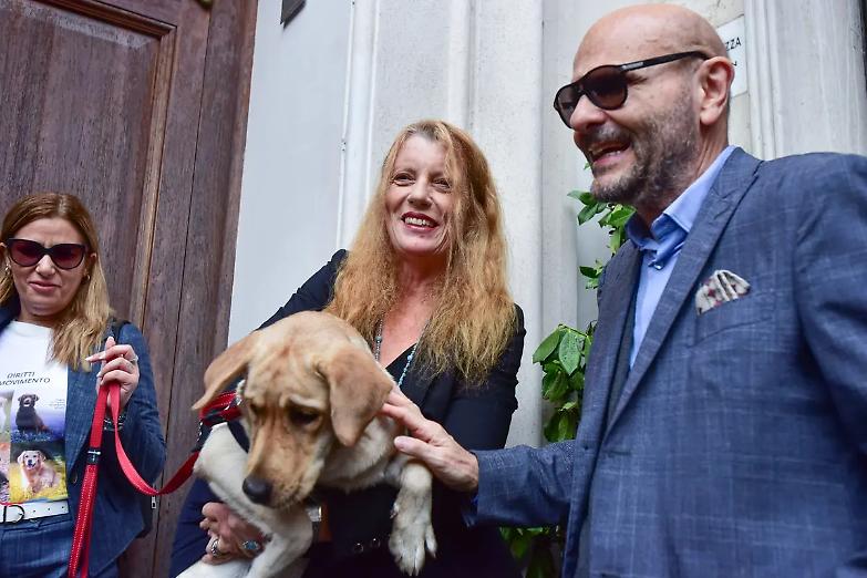 Reati contro gli animali, passa la stretta: primo s&igrave; alla Camera