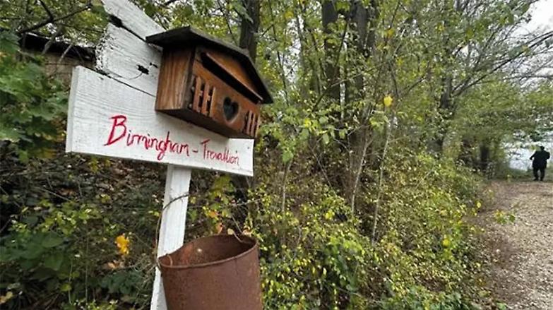 Dal &ldquo;lupo&rdquo; al &ldquo;bosco&rdquo;, cosa dicono gli atti sul caso Trevillion